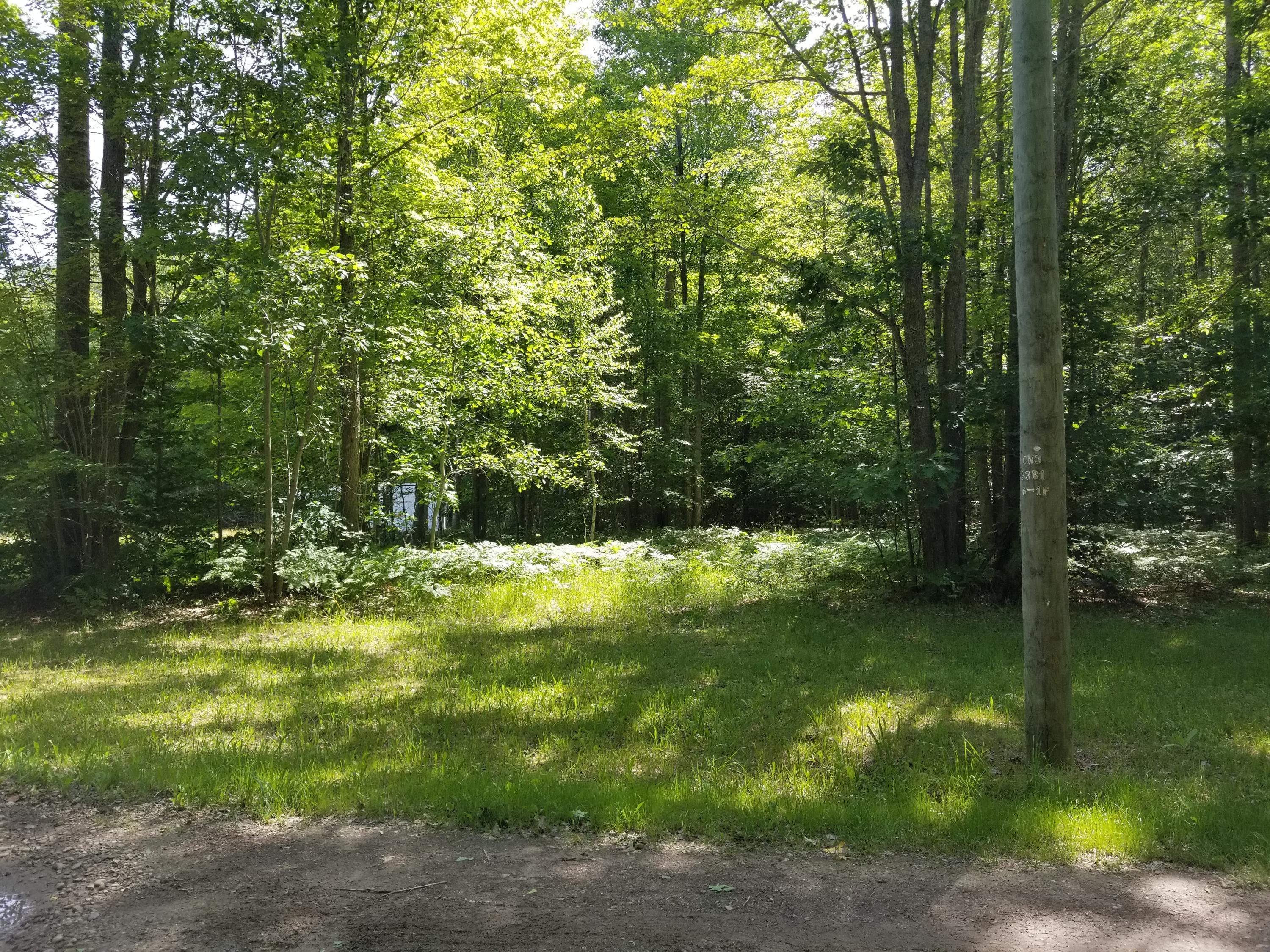 Mitchell Drive Cheboygan, MI 49721 - Photo 11 of 11 Gallery Image 11