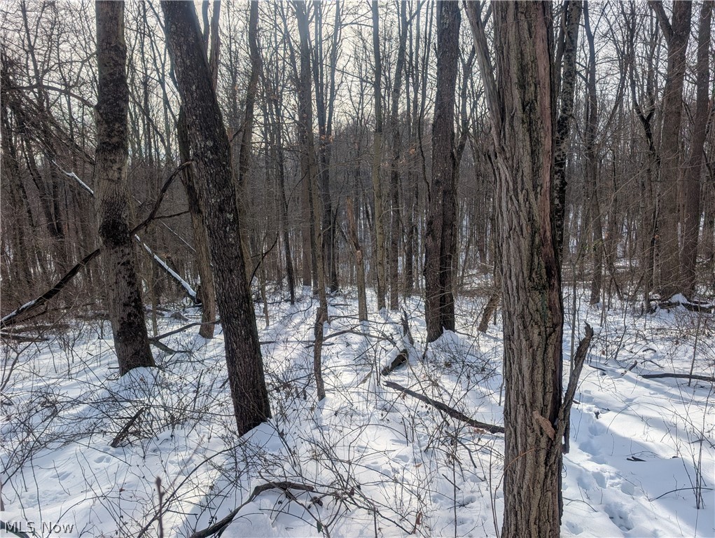 0 Tract 10 Kuhn Road Lewisville, OH 43754 - Photo 16 of 27 Snowy view