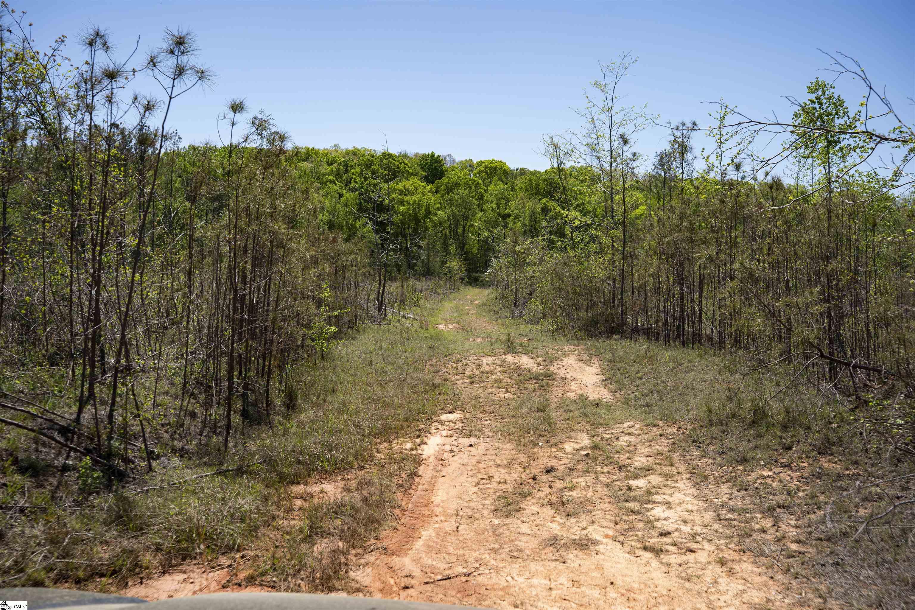 0 Loftis Road Abbeville, SC 29620 - Photo 23 of 27 Gallery Image 23