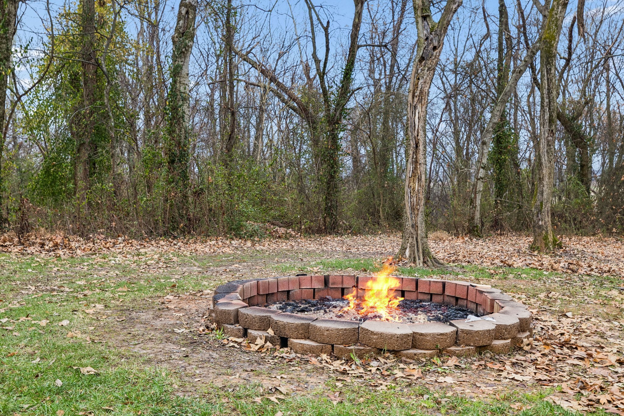 7697 Bethany Church Road Orlinda, TN 37141 - Photo 60 of 96