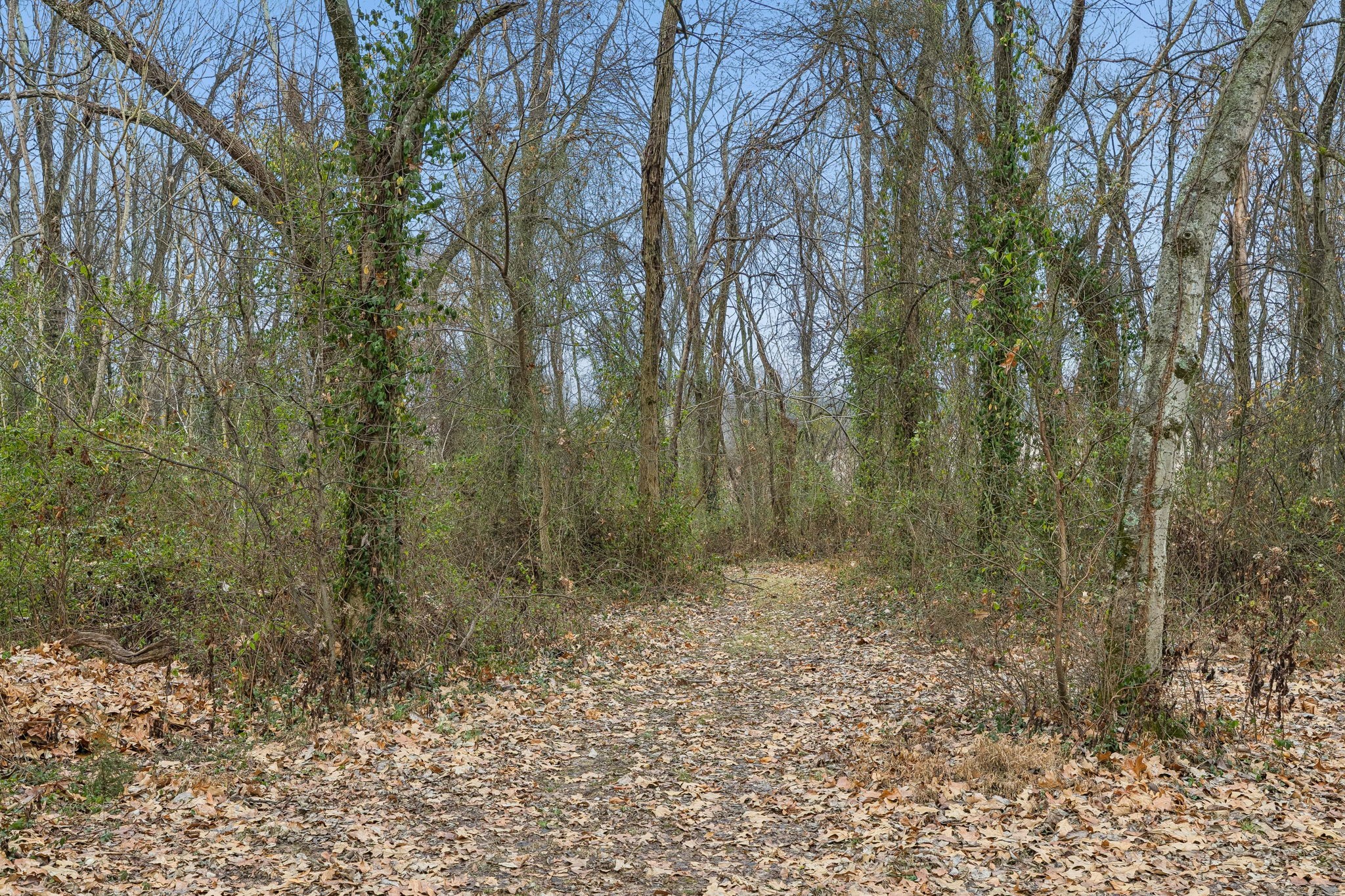 7697 Bethany Church Road Orlinda, TN 37141 - Photo 62 of 96