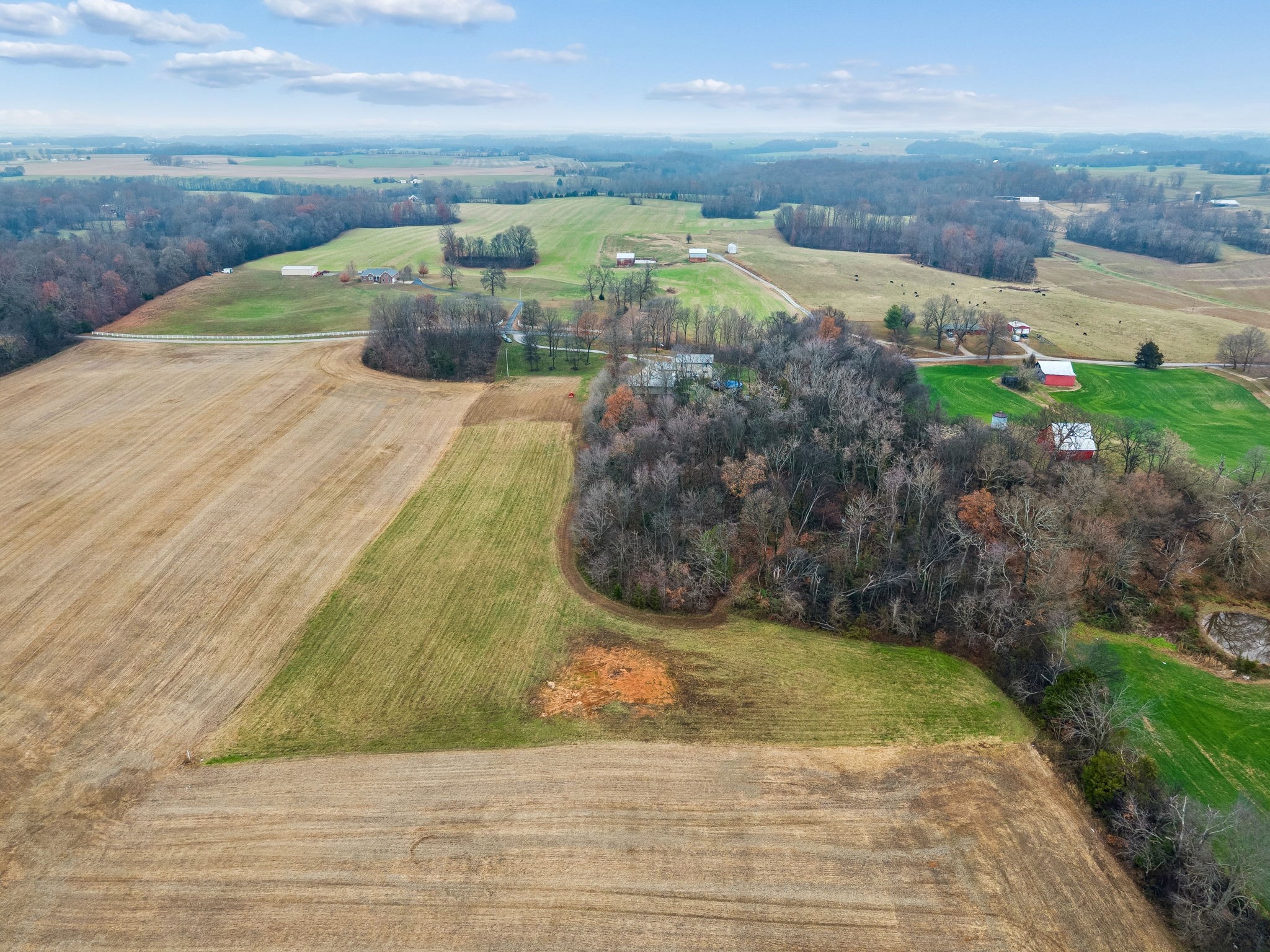 7697 Bethany Church Road Orlinda, TN 37141 - Photo 82 of 96