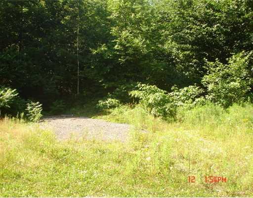 654 Shaw Hill Road Industry, ME 04938 - Photo 10 of 10 Land/Lot.