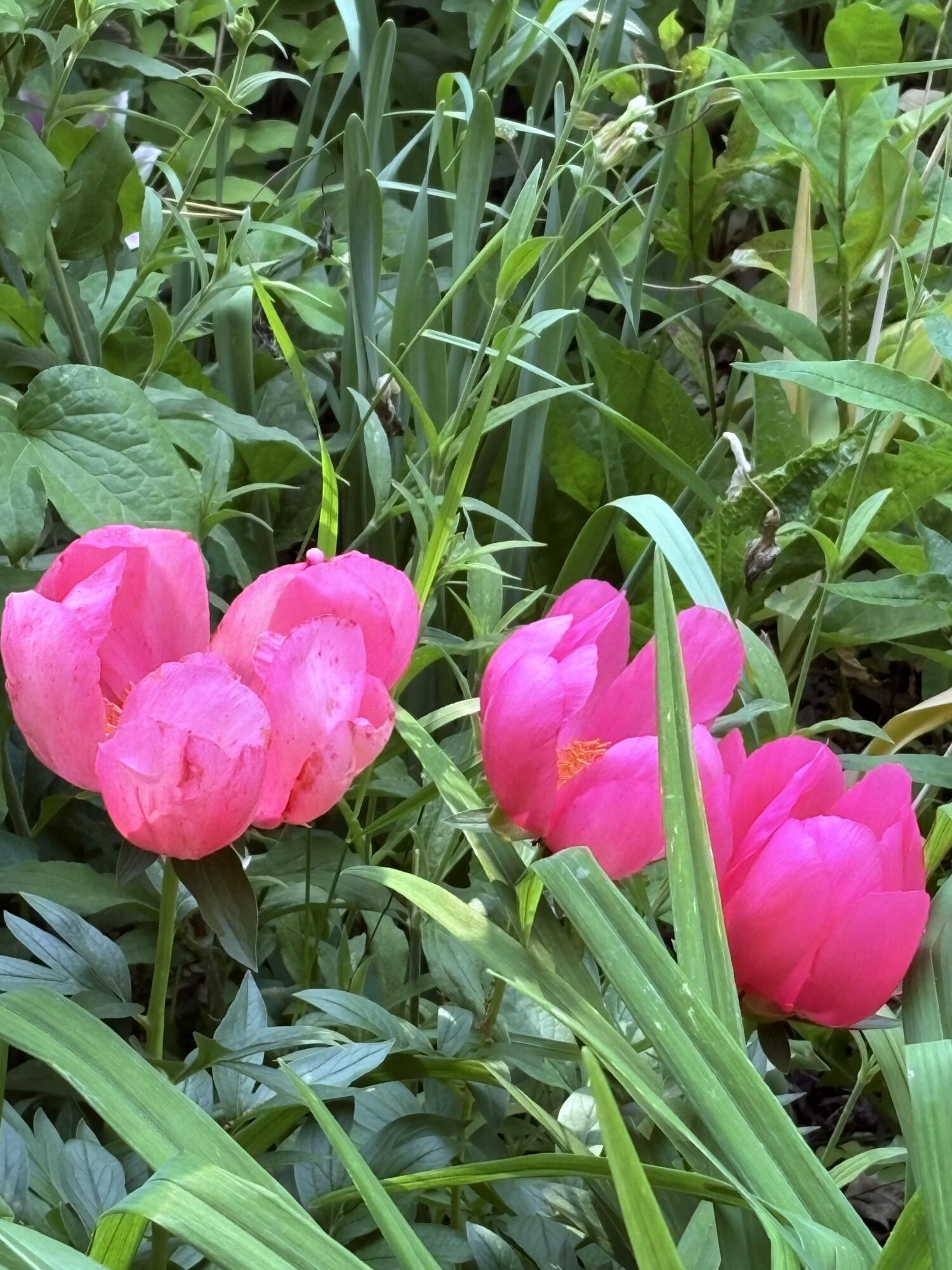 523 Valley Road Twin Lakes, WI 53181 - Photo 31 of 35 IMG_2916