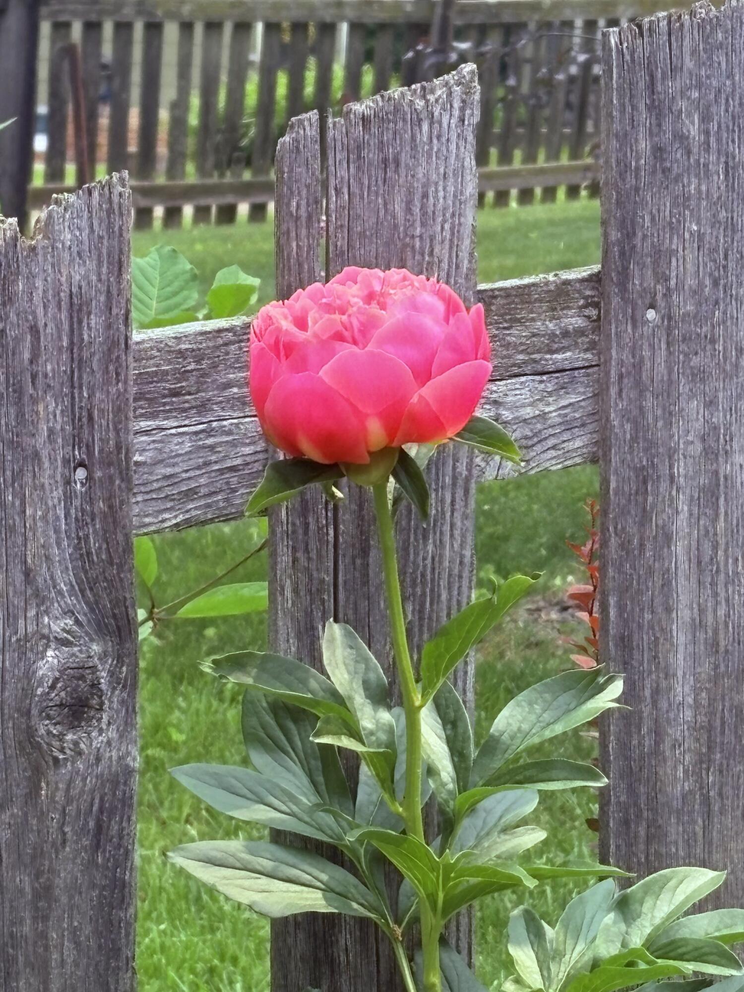 523 Valley Road Twin Lakes, WI 53181 - Photo 32 of 35 IMG_0460