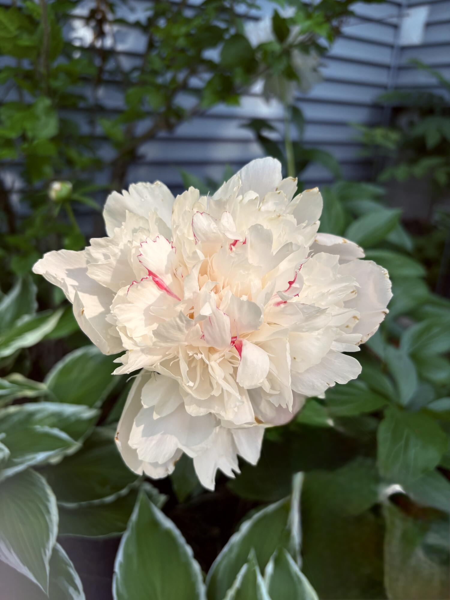 523 Valley Road Twin Lakes, WI 53181 - Photo 33 of 35 IMG_4307