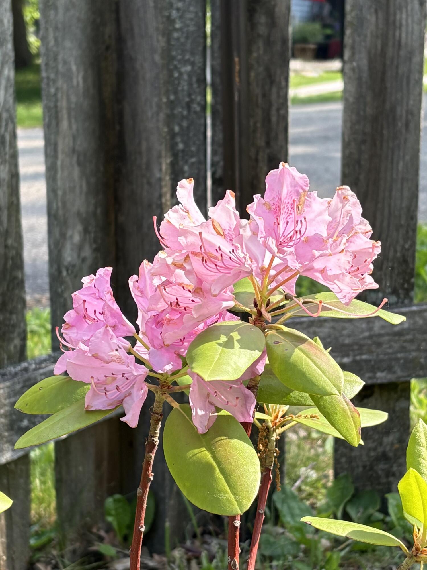 523 Valley Road Twin Lakes, WI 53181 - Photo 34 of 35 IMG_3409