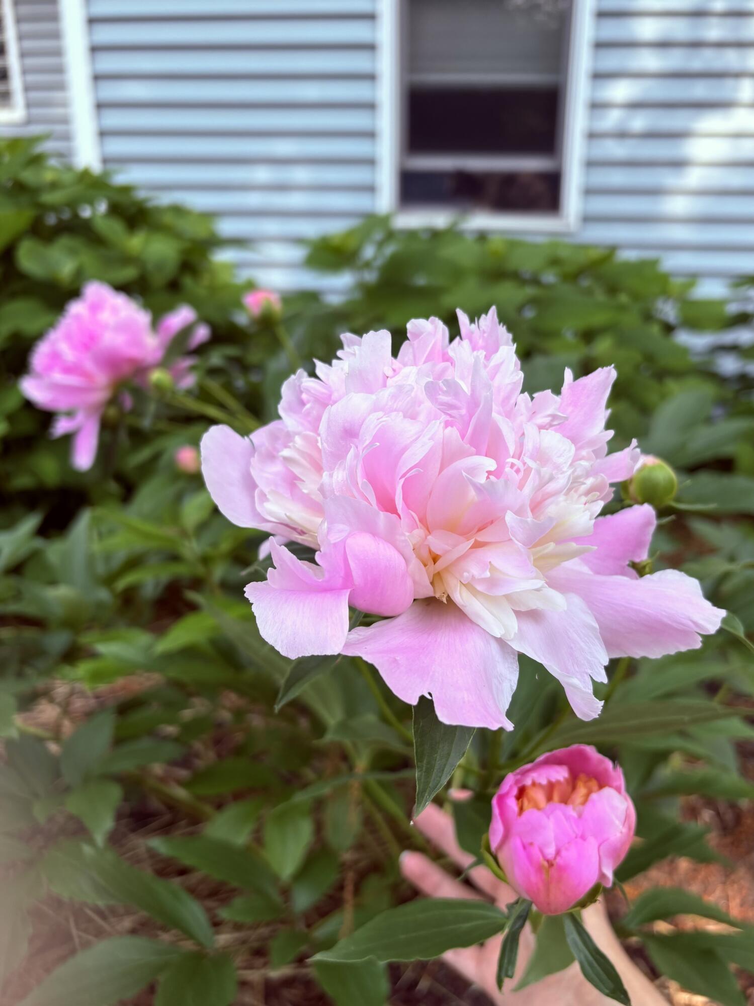 523 Valley Road Twin Lakes, WI 53181 - Photo 35 of 35 IMG_5550