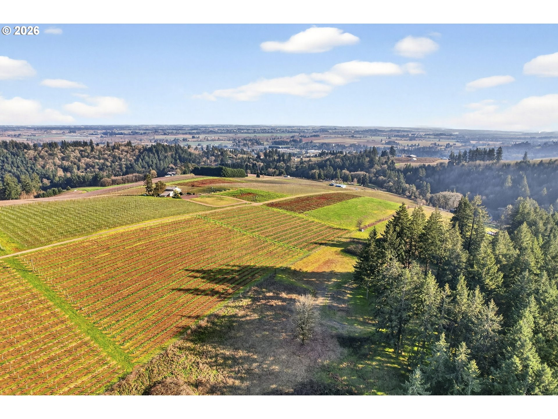 0 Northeast Fox Lane Dundee, OR 97115 - Photo 11 of 17