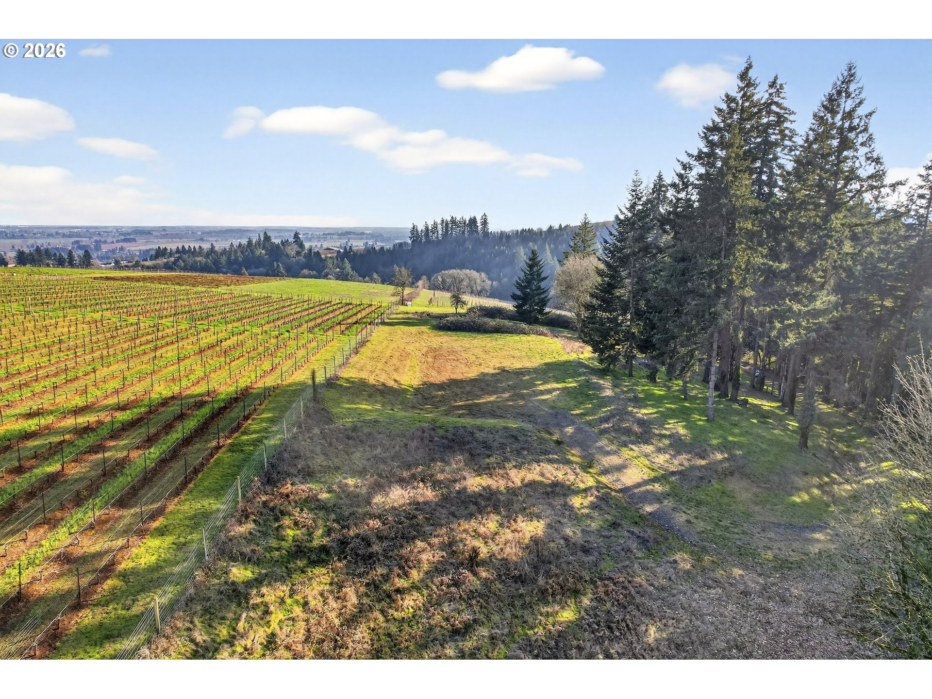 0 Northeast Fox Lane Dundee, OR 97115 - Photo 13 of 17
