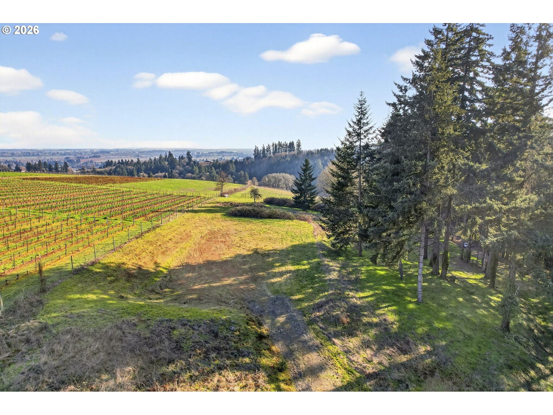 0 Northeast Fox Lane Dundee, OR 97115 - Photo 14 of 17