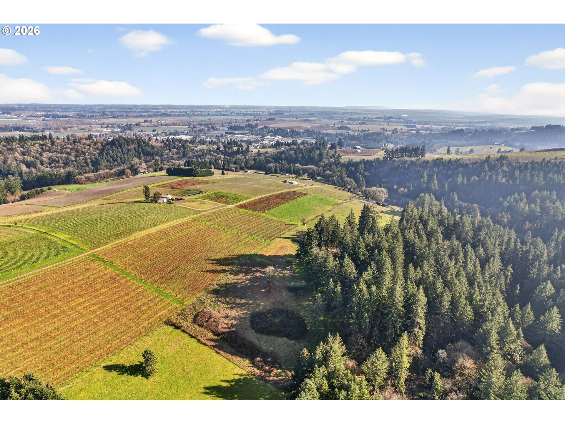 0 Northeast Fox Lane Dundee, OR 97115 - Photo 3 of 17
