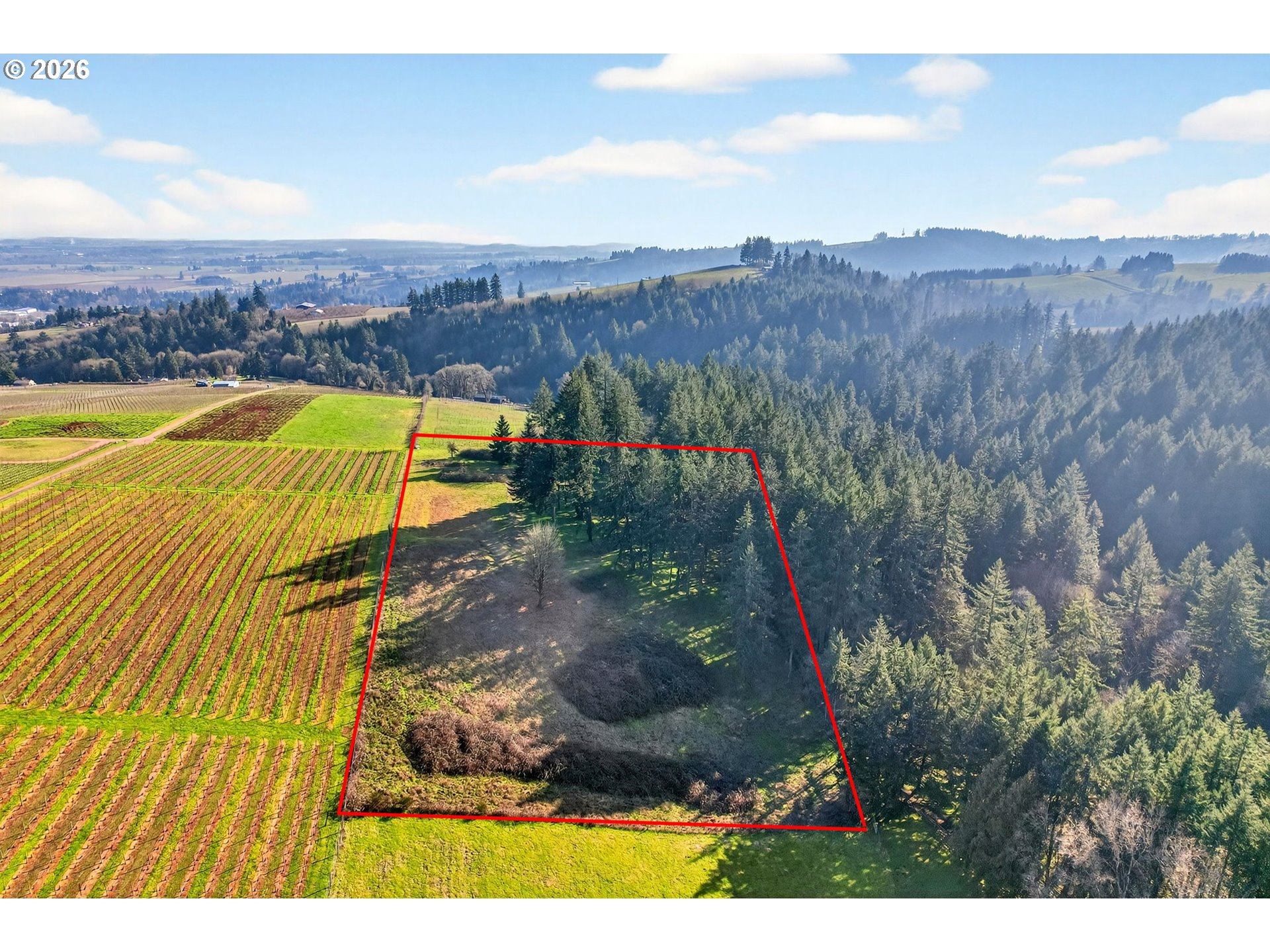 0 Northeast Fox Lane Dundee, OR 97115 - Photo 5 of 17