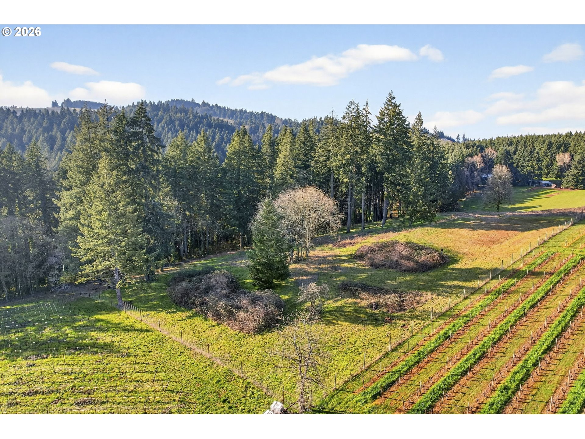 0 Northeast Fox Lane Dundee, OR 97115 - Photo 7 of 17