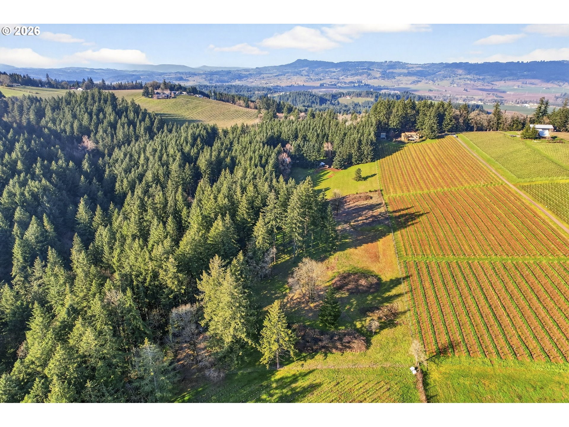 0 Northeast Fox Lane Dundee, OR 97115 - Photo 8 of 17