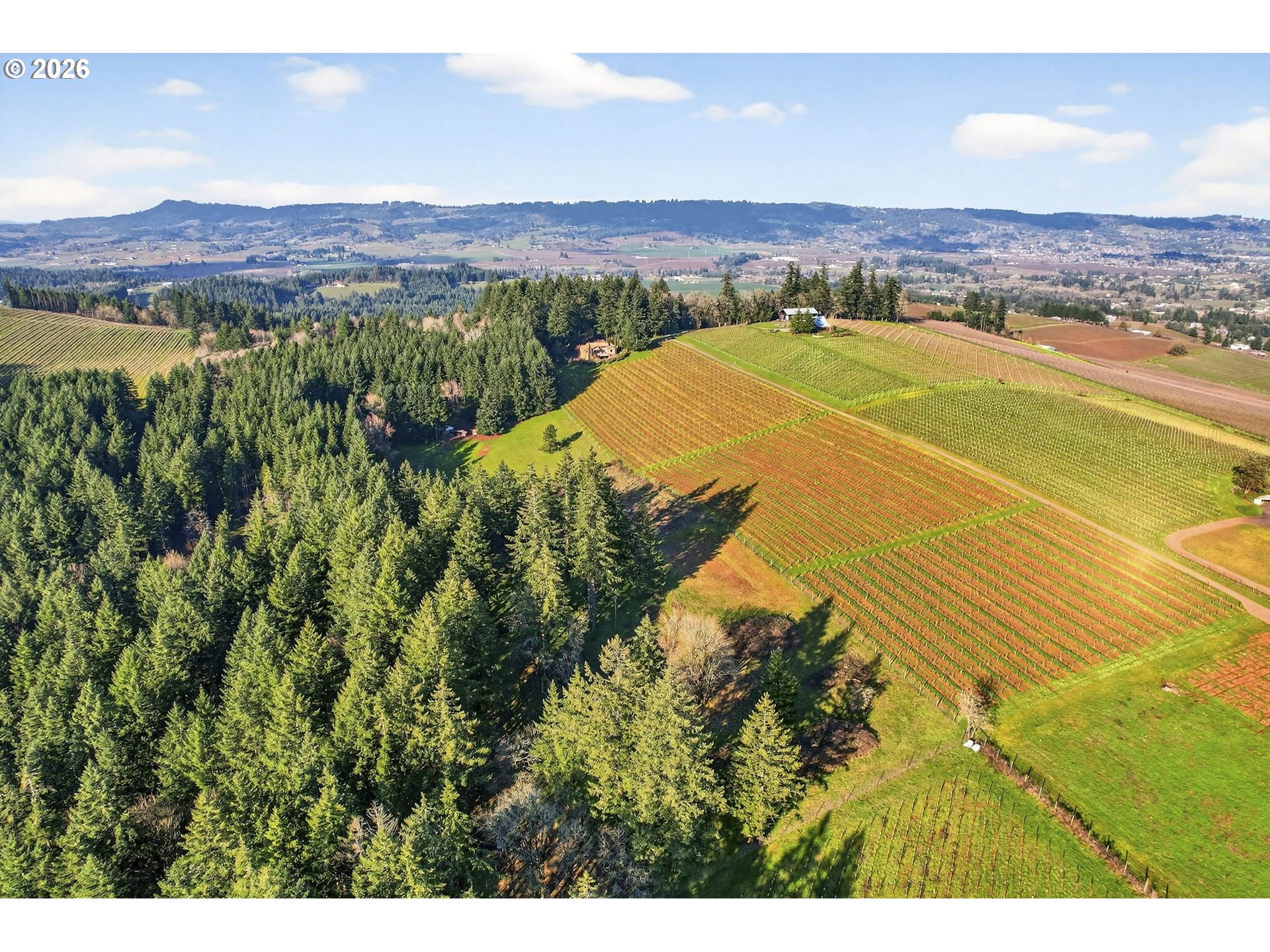 0 Northeast Fox Lane Dundee, OR 97115 - Photo 9 of 17