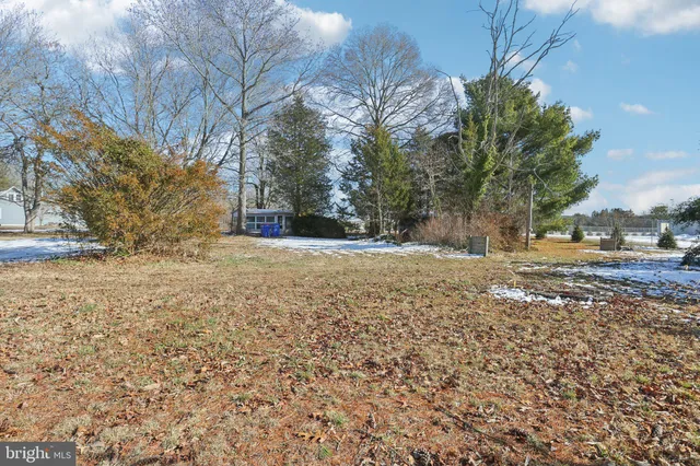 a view of outdoor space with trees