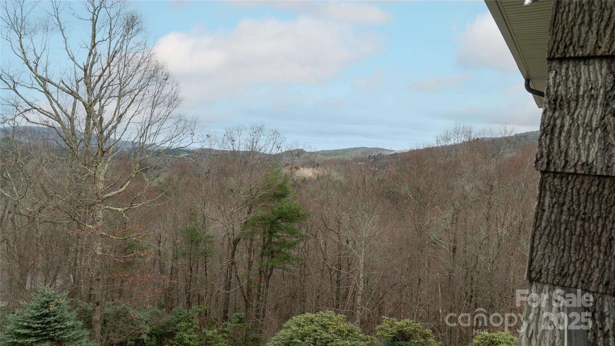 439 Glen View Road Boone, NC 28607 - Photo 11 of 41 Gallery Image 11