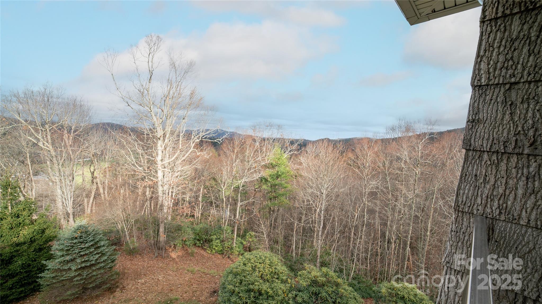 439 Glen View Road Boone, NC 28607 - Photo 10 of 41 Gallery Image 10