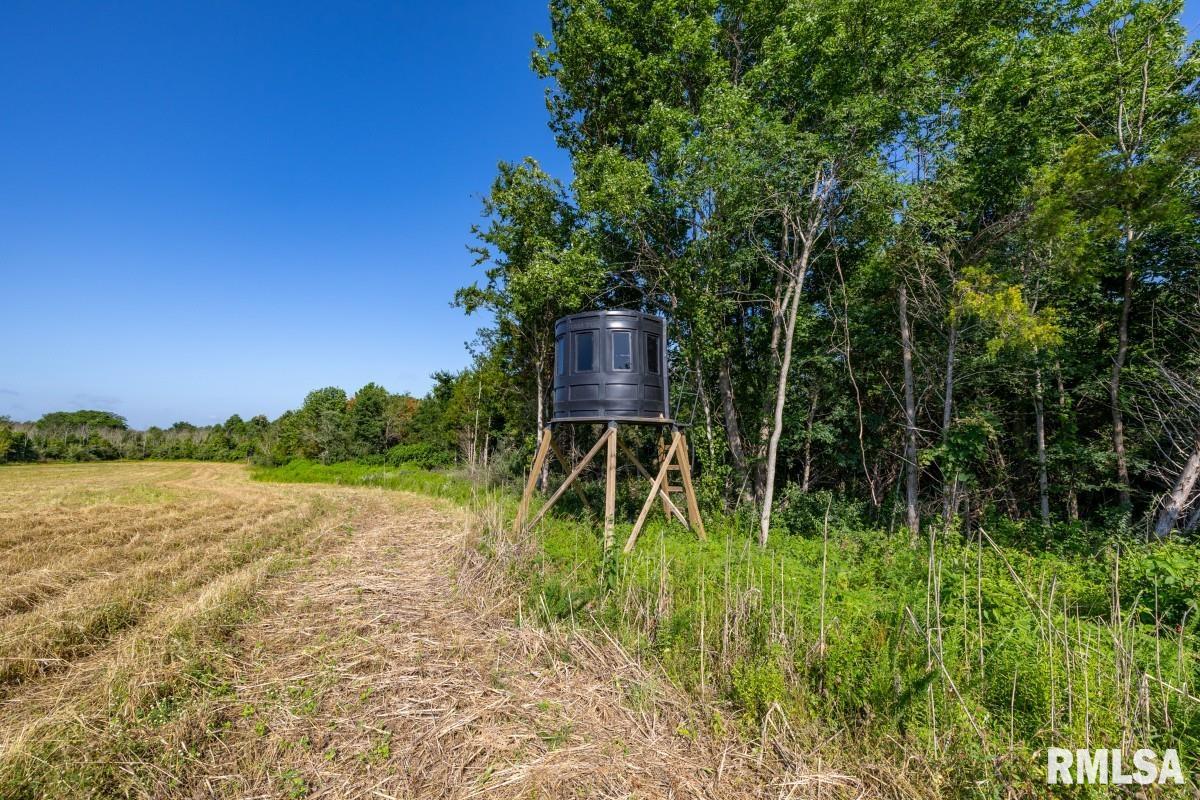 0 Tom Dick Hill Road Stonefort, IL 62987 - Photo 6 of 62