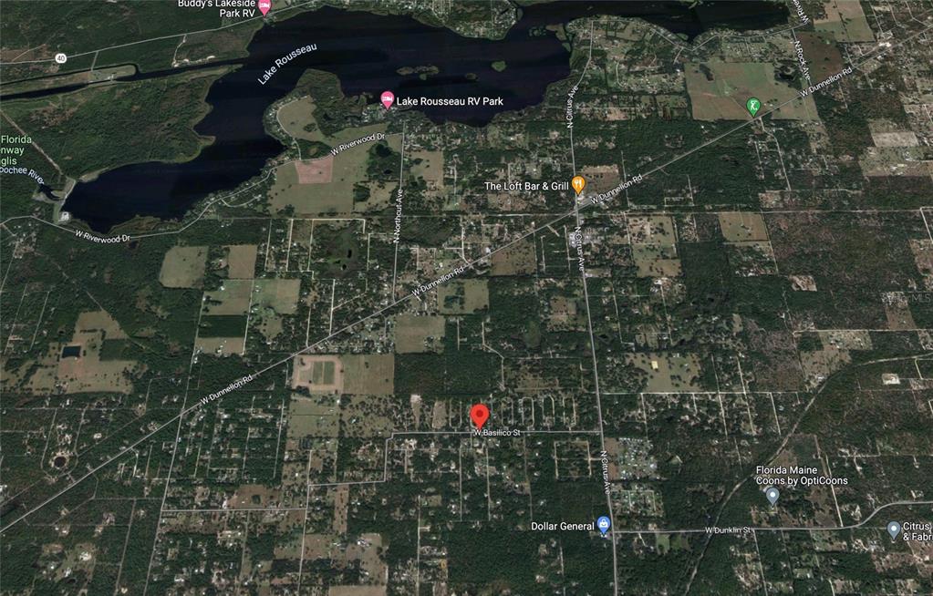 8549 North Buscetta Loop Crystal River, FL 34428 - Photo 10 of 12 a picture of street view