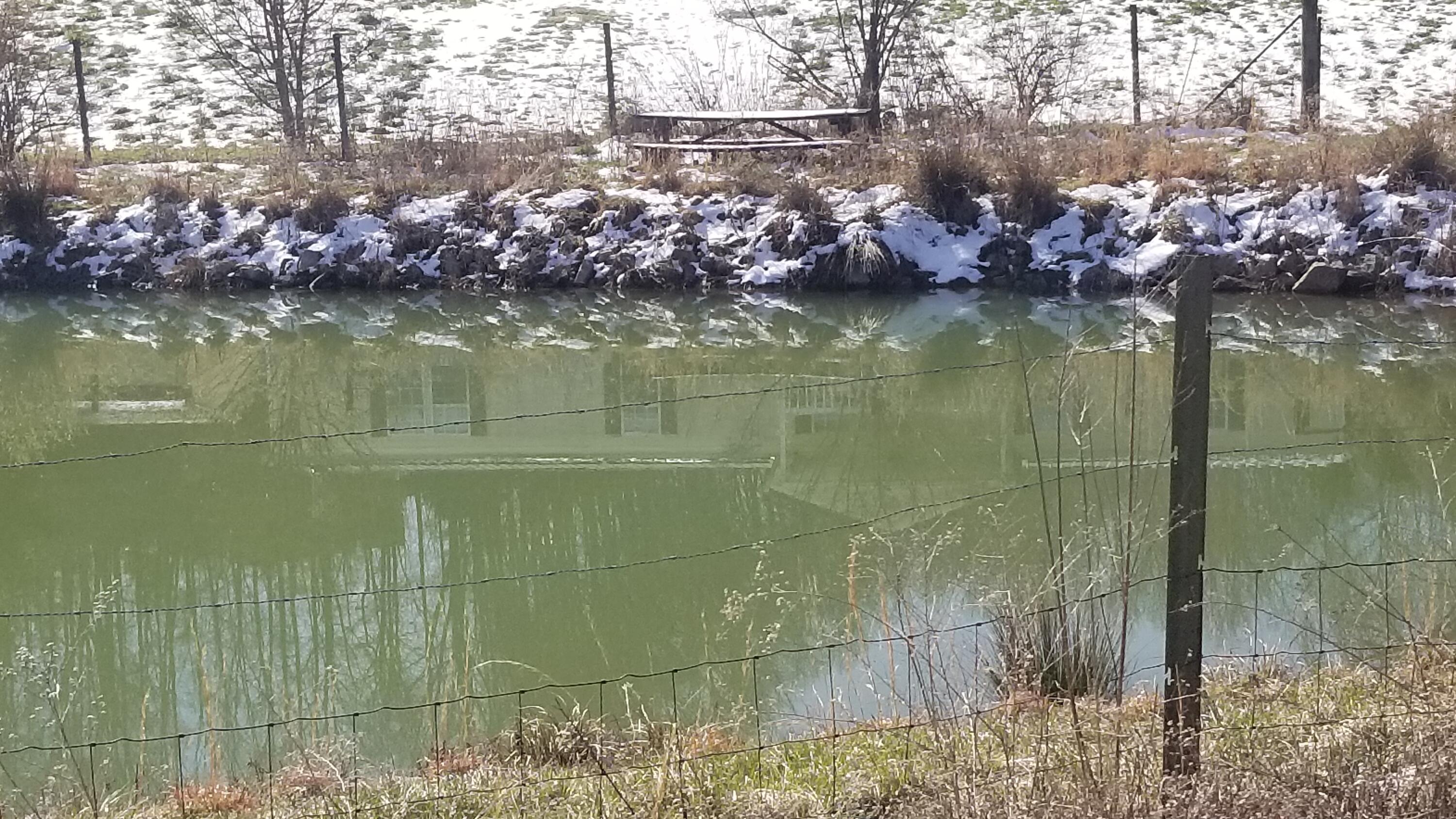 554 Ray Simerly Road Hampton, TN 37658 - Photo 4 of 20 554 Ray Simerly (5)