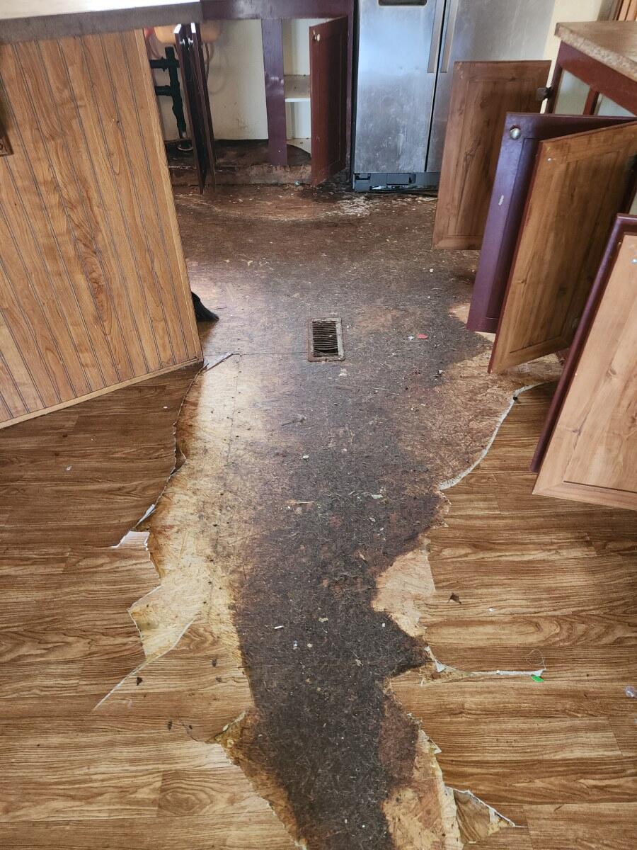 554 Ray Simerly Road Hampton, TN 37658 - Photo 10 of 20 554 Ray Simerly (7)