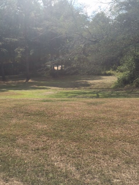 3153 Cato Road Braxton, MS 39044 - Photo 6 of 15 Photo 6