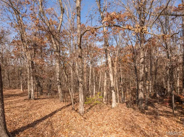 $399,000 | 143 Bear Creek Trail, Truxton, MO 63381