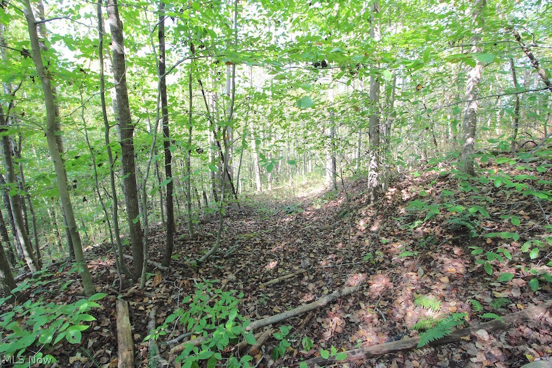 Horseshoe Bend Road Newcomerstown, OH 43832 - Photo 18 of 23 Gallery Image 18