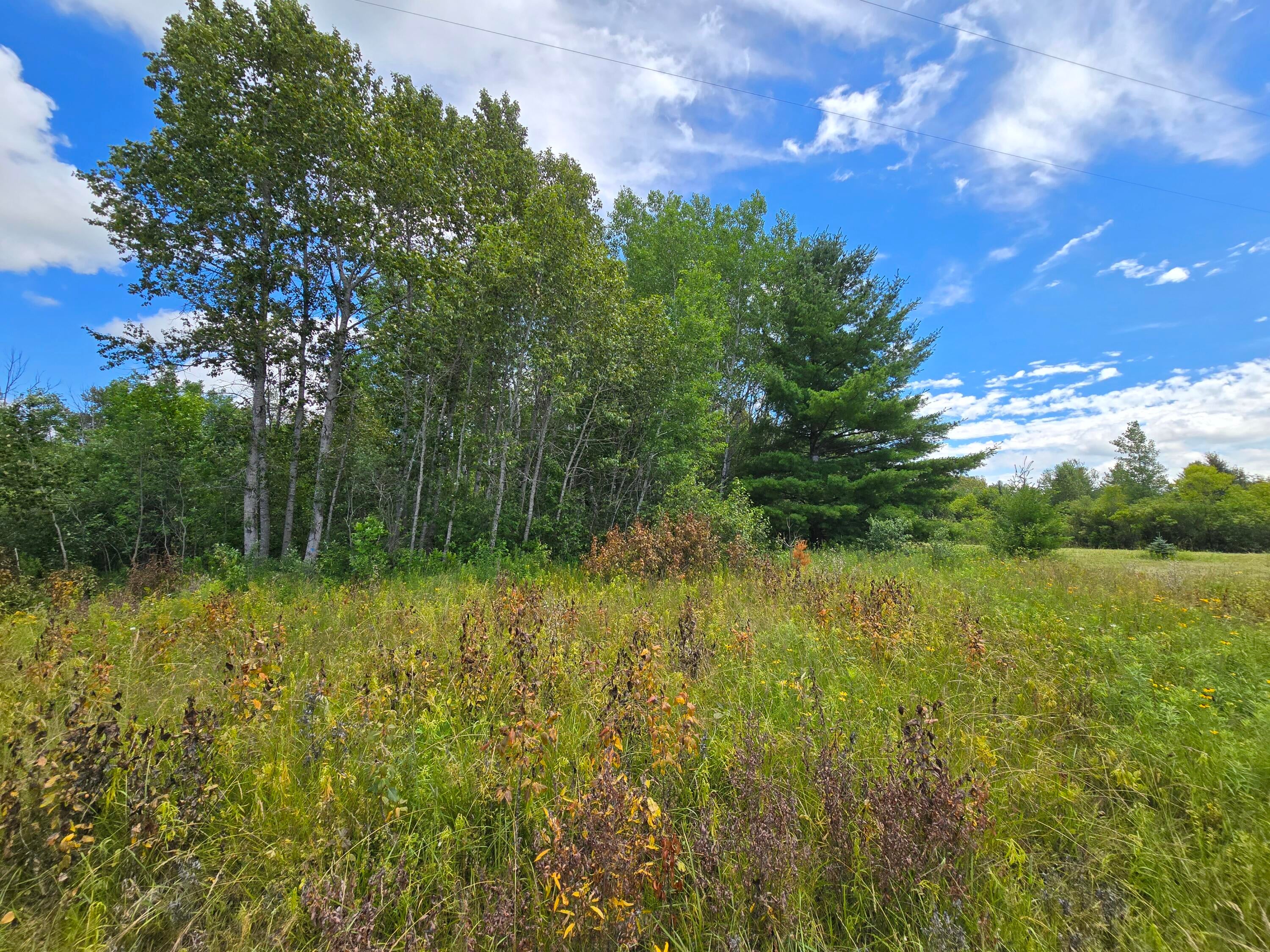 North Everett Road Roscommon, MI 48653 - Photo 12 of 14 Gallery Image 12