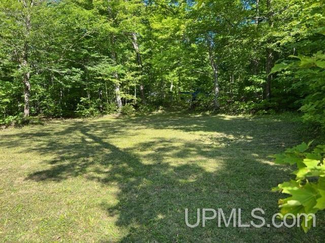 12236 Lake Medora Road Mohawk, MI 49950 - Photo 5 of 10