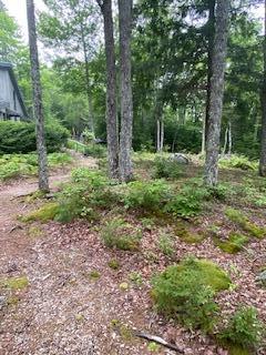 138 Lakeview Road Penobscot, ME 04476 - Photo 40 of 100 IMG_2416