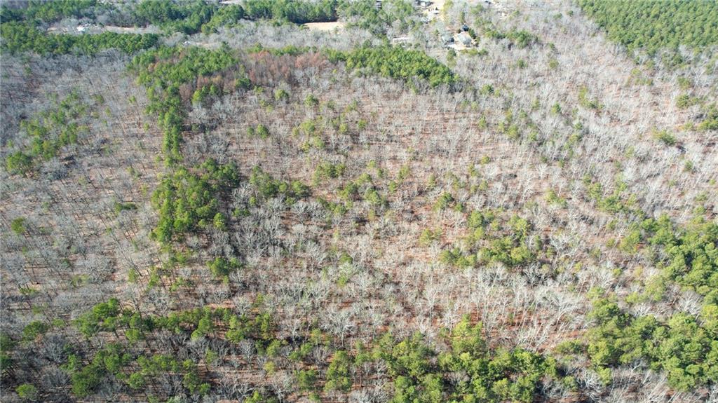 1 Bozeman Road Rydal, GA 30171 - Photo 19 of 25