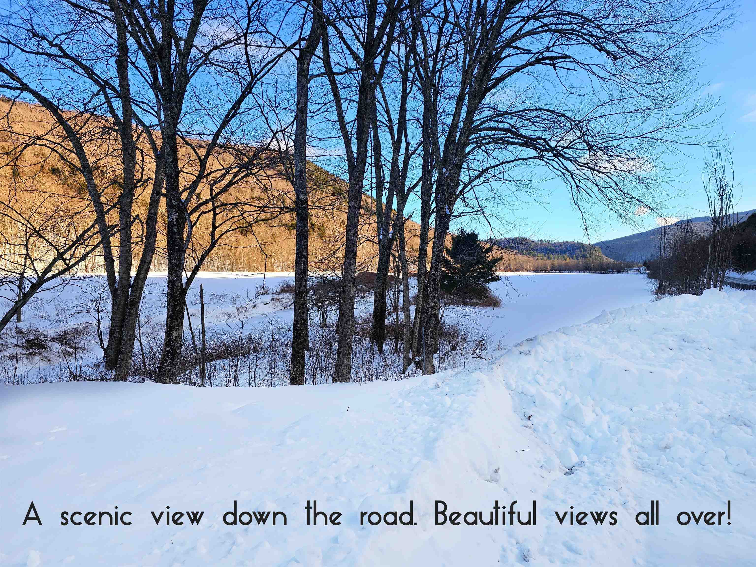 919 Vermont Rte 100 Hancock, VT 05748 - Photo 46 of 59