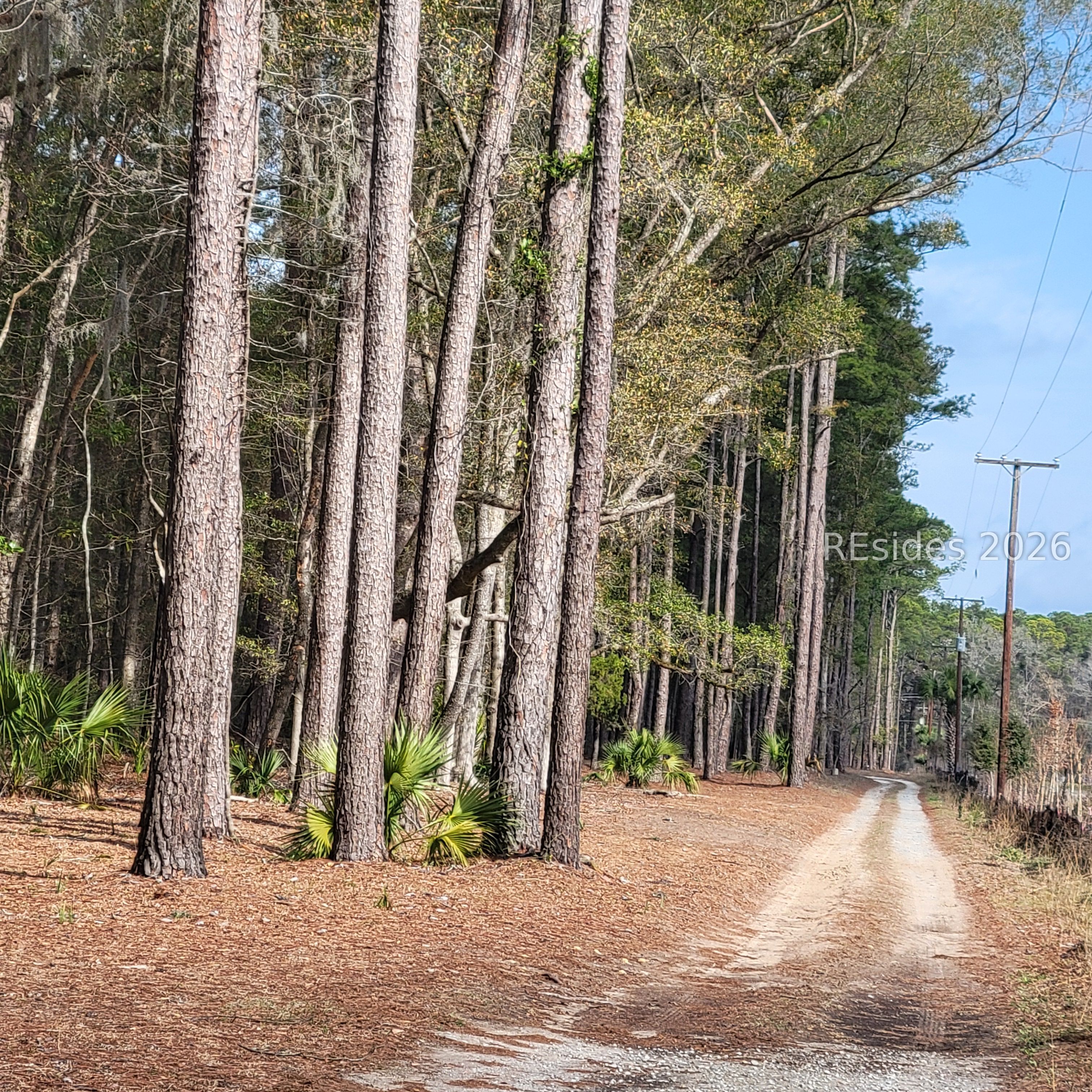 942 May River Road Bluffton, SC 29910 - Photo 12 of 22