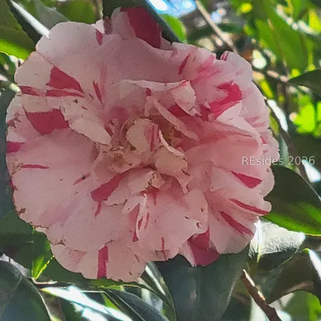 $7,450,000 | 942 May River Road, Bluffton, SC 29910