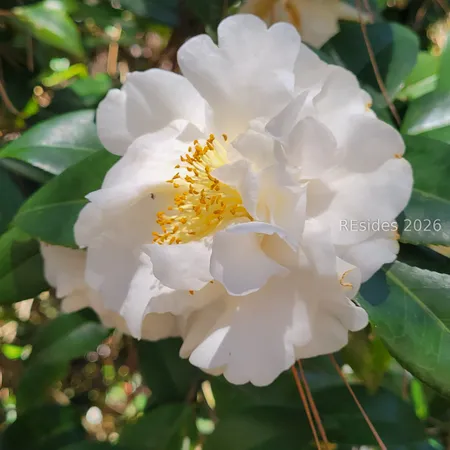 $7,450,000 | 942 May River Road, Bluffton, SC 29910