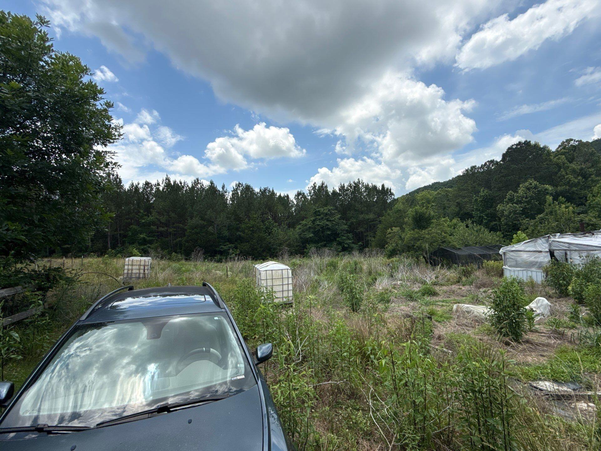 3804 Redman Lane Decatur, TN 37322 - Photo 21 of 33 project_107246054_06092026_1752(3)