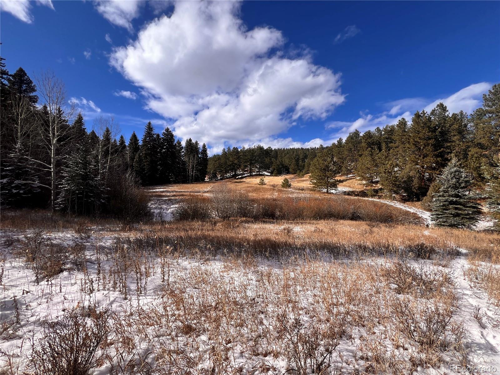 0 Baird Road Conifer, CO 80433 - Photo 11 of 17 Gallery Image 11