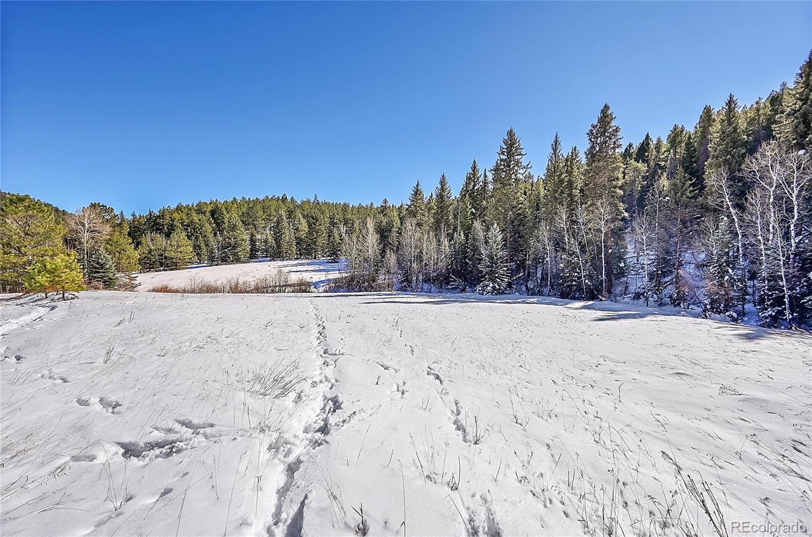 0 Baird Road Conifer, CO 80433 - Photo 12 of 17 Gallery Image 12