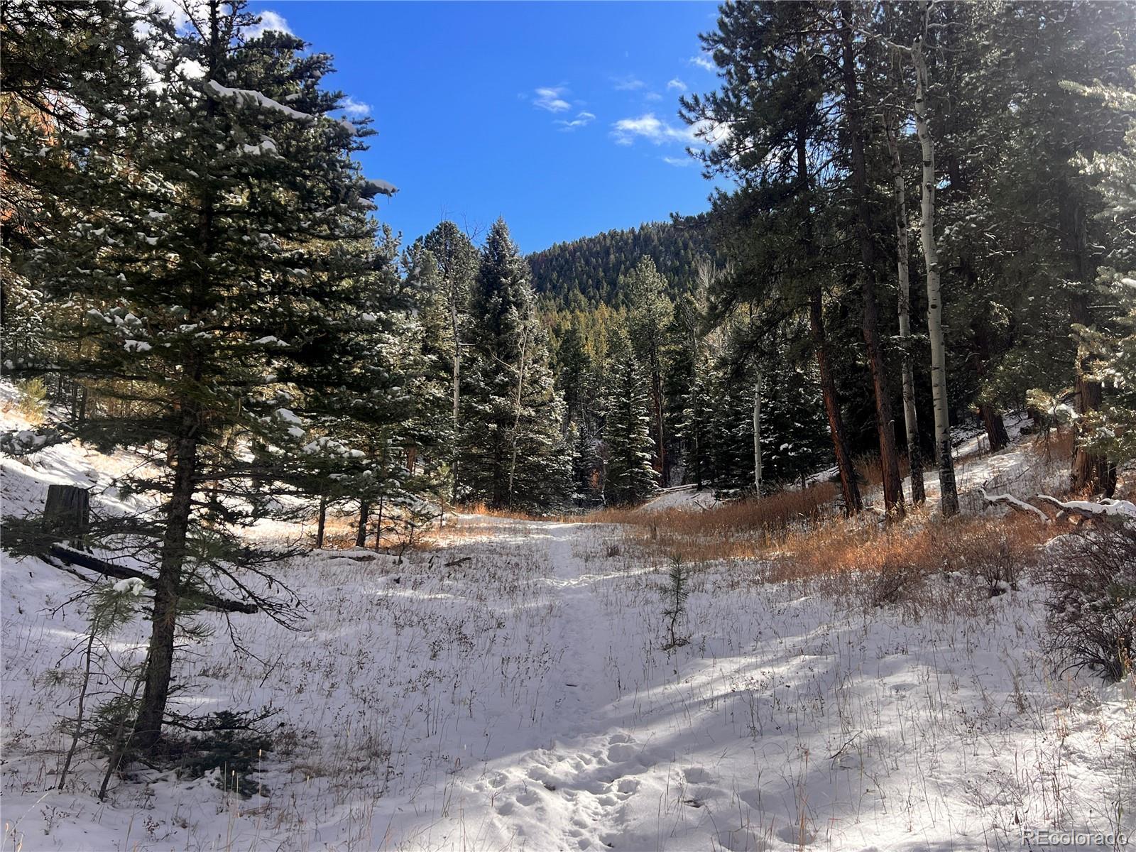 0 Baird Road Conifer, CO 80433 - Photo 13 of 17 Gallery Image 13