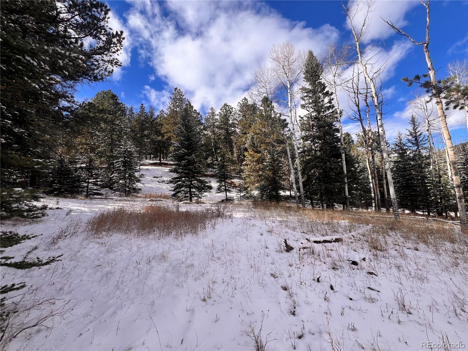 0 Baird Road Conifer, CO 80433 - Photo 15 of 17 Gallery Image 15