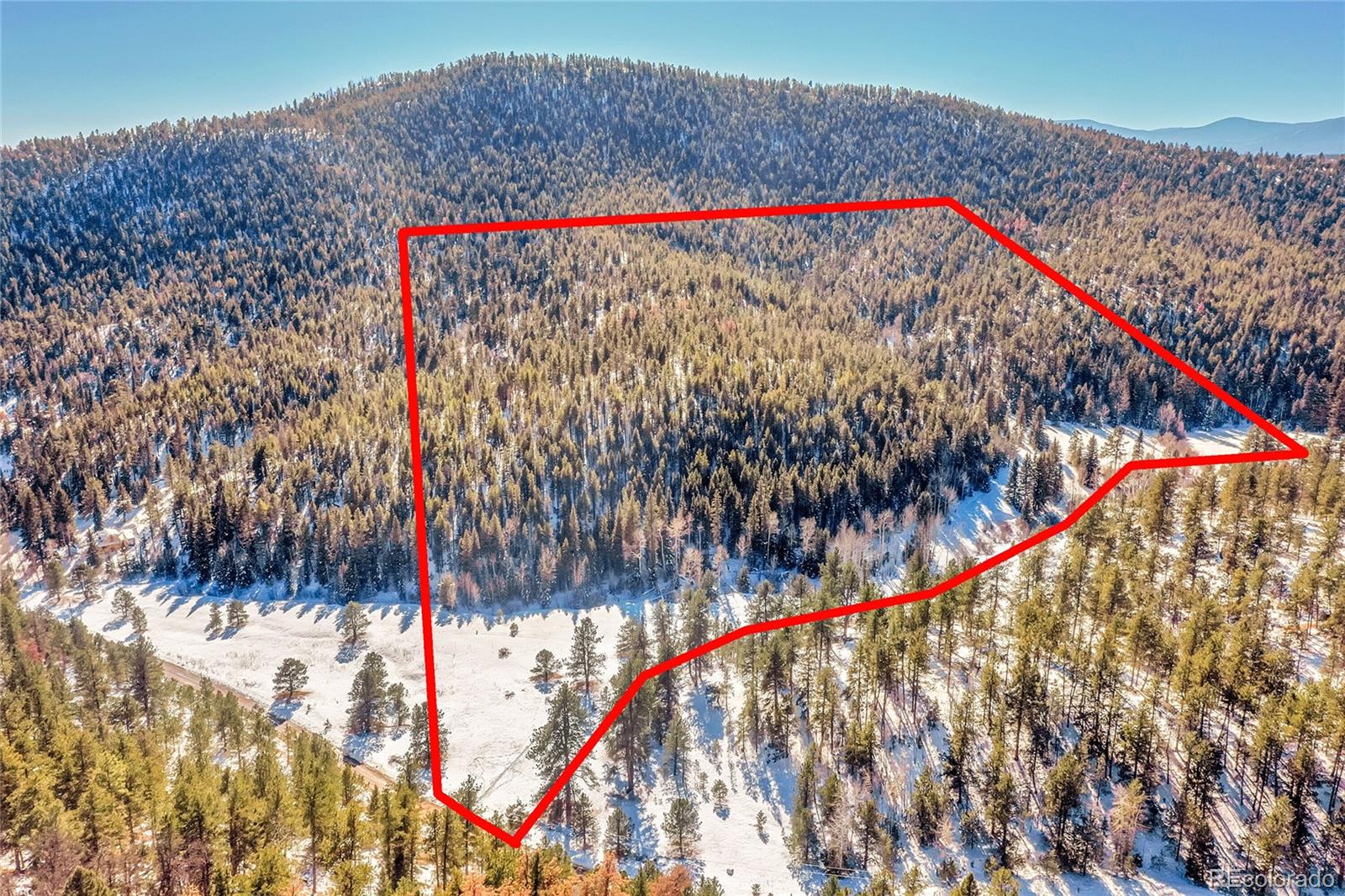 0 Baird Road Conifer, CO 80433 - Photo 3 of 17 Gallery Image 3