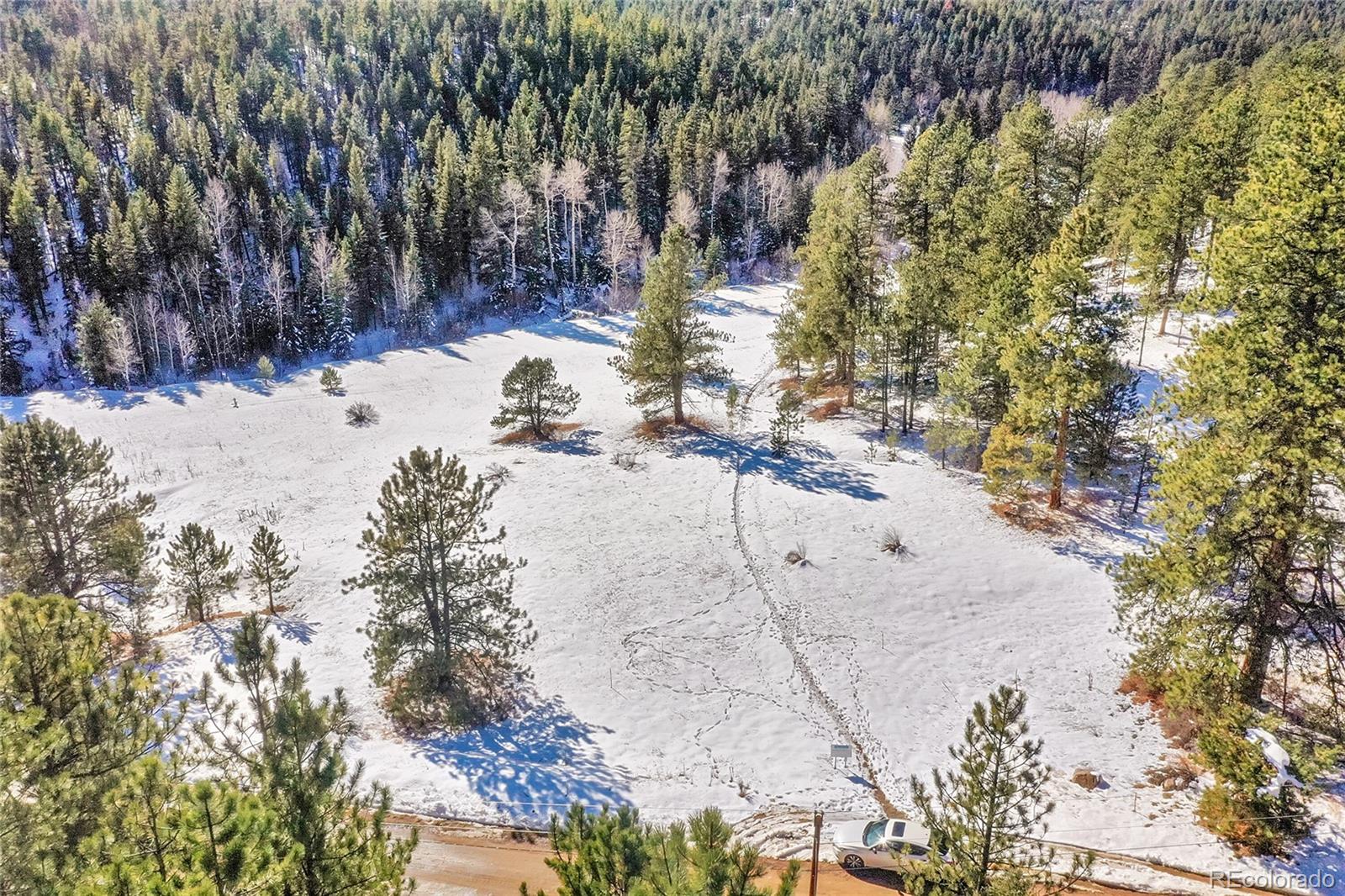 0 Baird Road Conifer, CO 80433 - Photo 4 of 17 Gallery Image 4