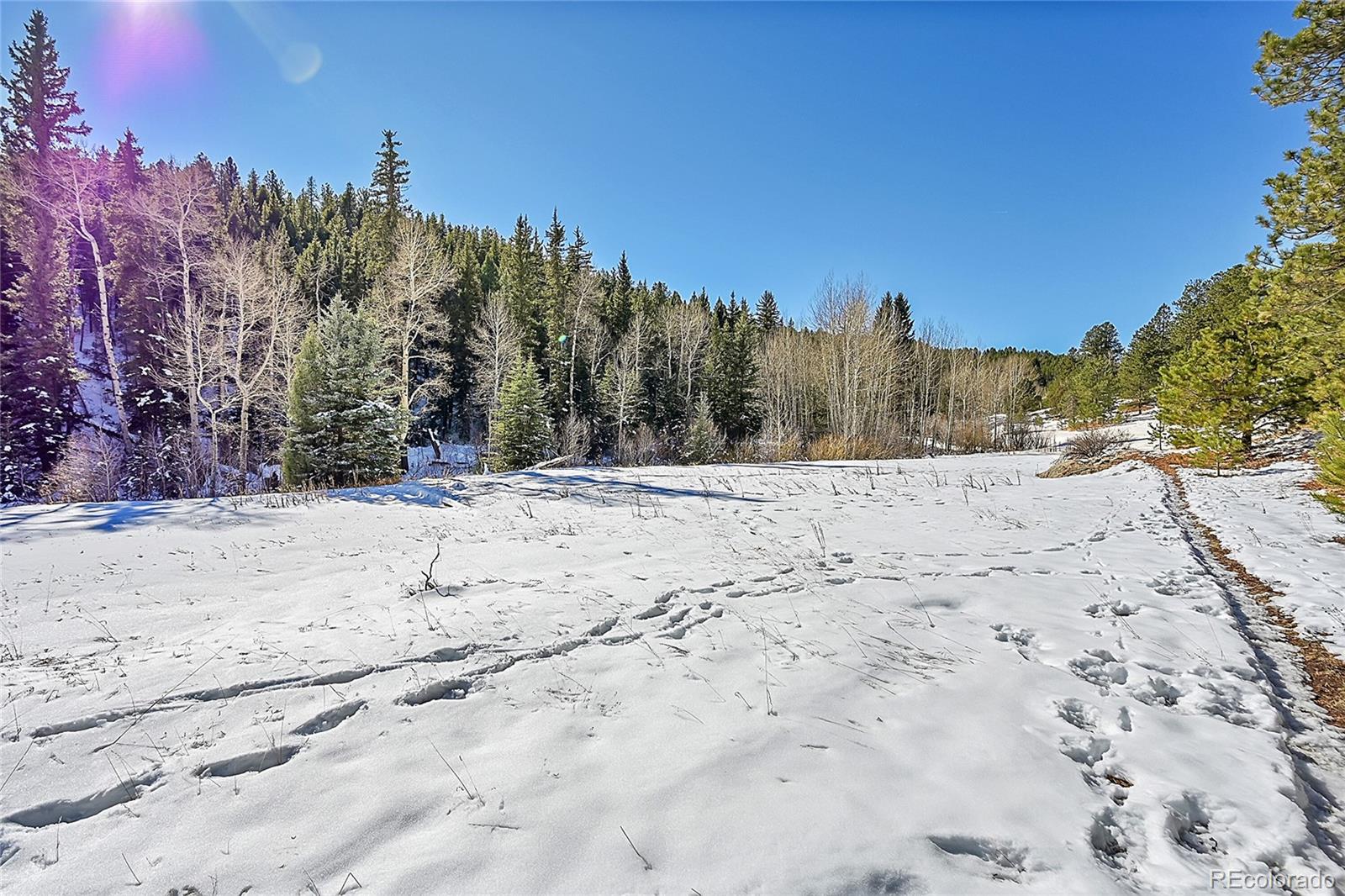 0 Baird Road Conifer, CO 80433 - Photo 6 of 17 Gallery Image 6