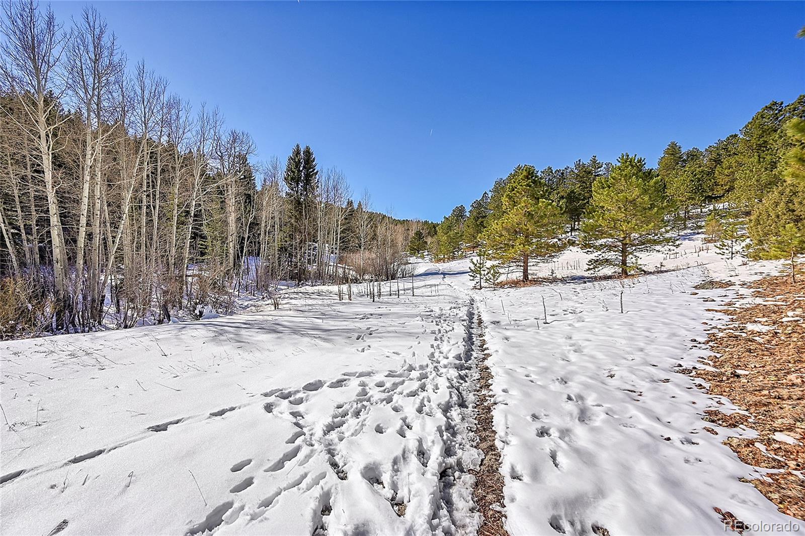 0 Baird Road Conifer, CO 80433 - Photo 7 of 17 Gallery Image 7