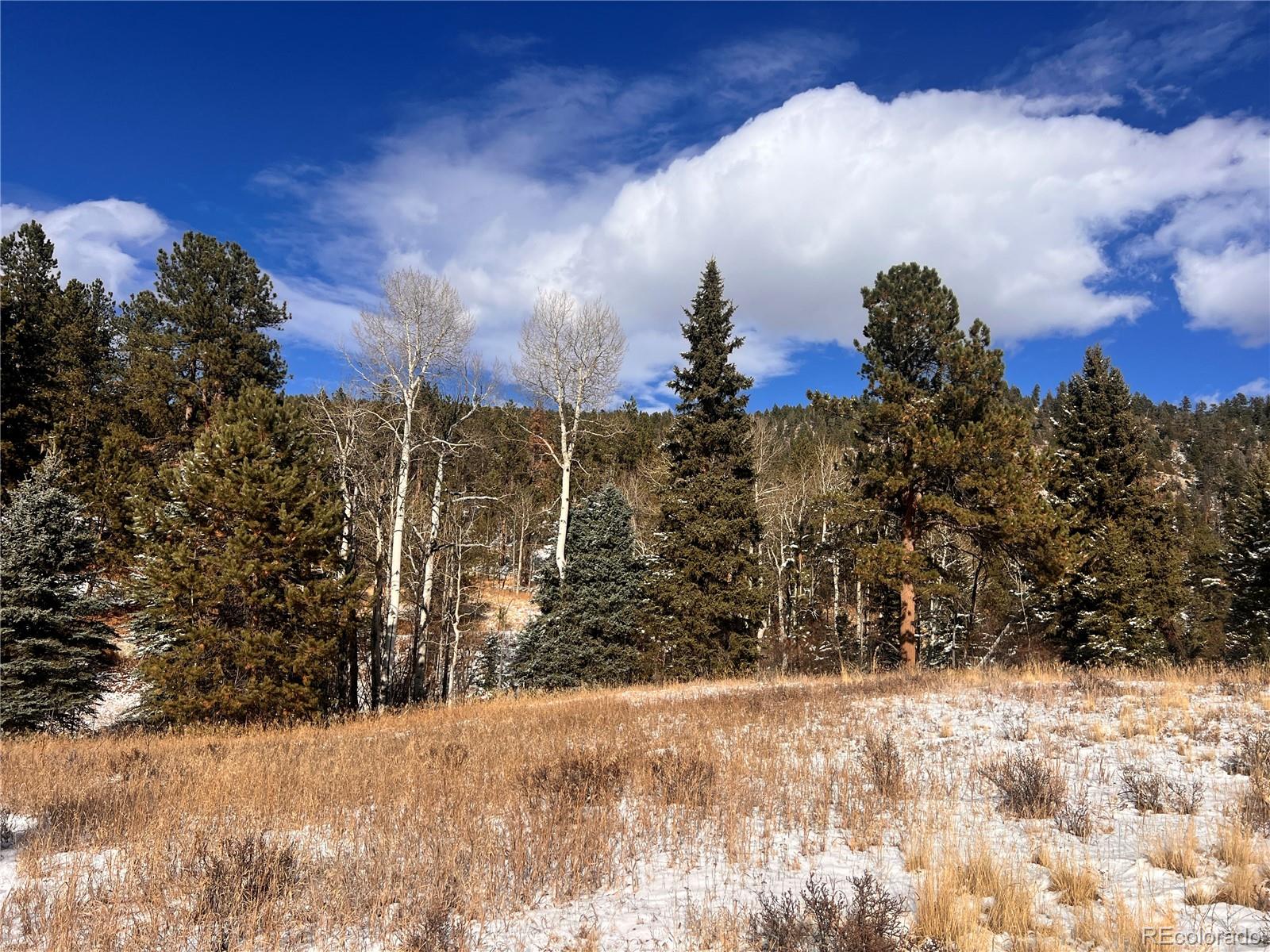 0 Baird Road Conifer, CO 80433 - Photo 8 of 17 Gallery Image 8
