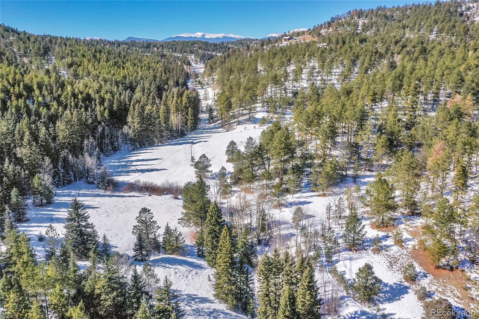 0 Baird Road Conifer, CO 80433 - Photo 9 of 17 Gallery Image 9