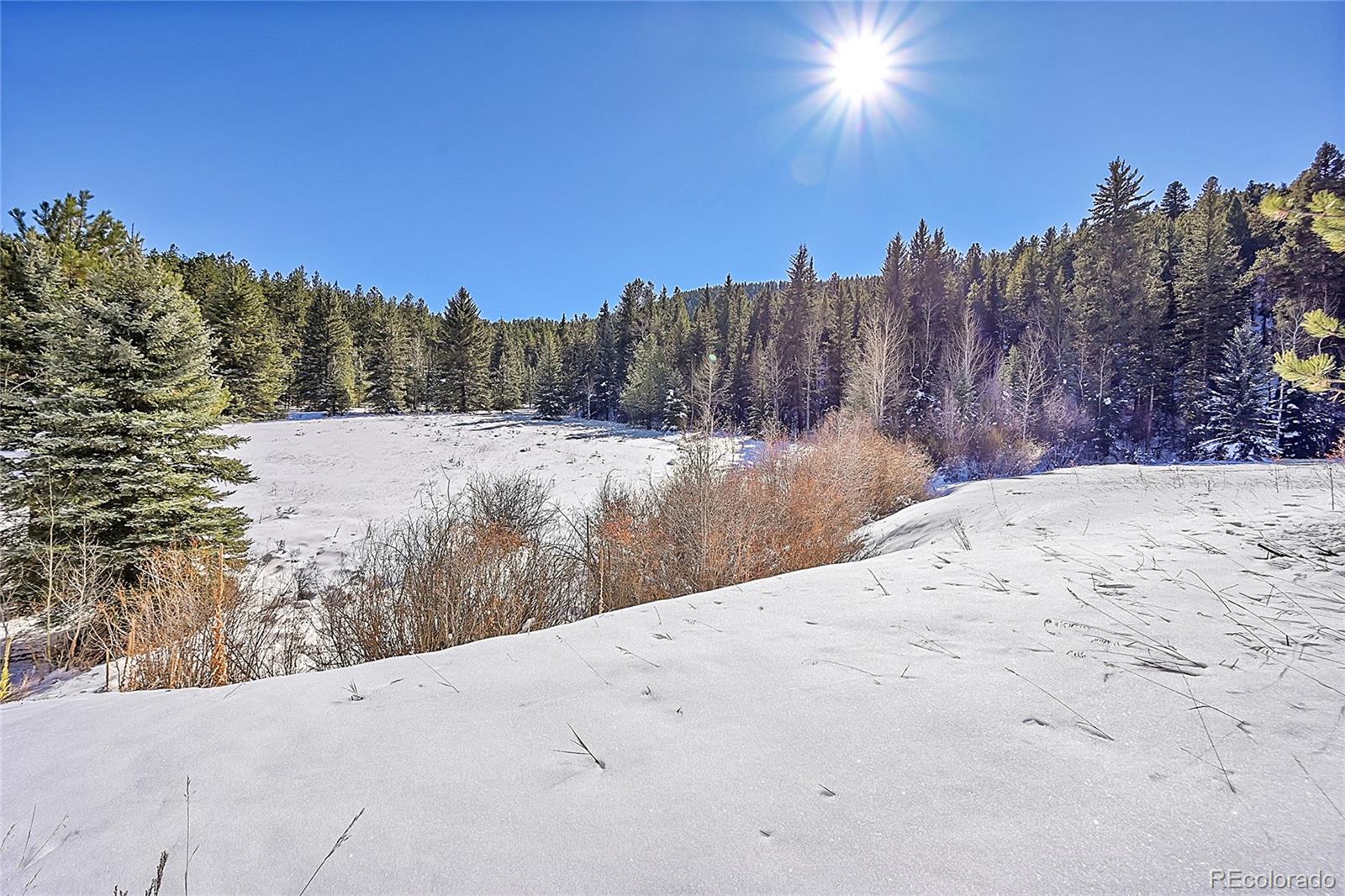 0 Baird Road Conifer, CO 80433 - Photo 10 of 17 Gallery Image 10